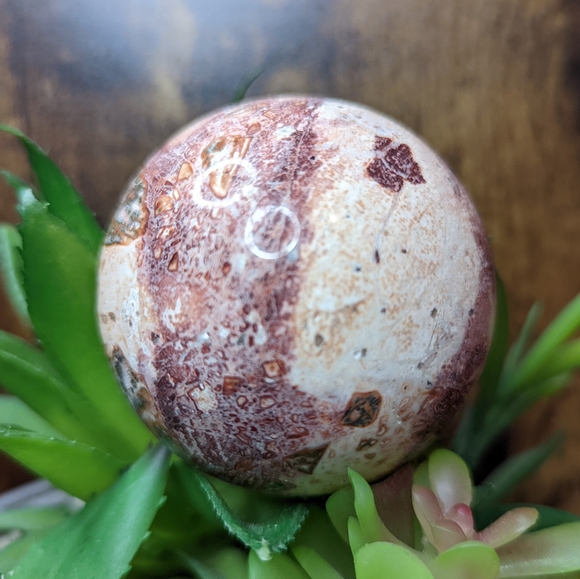 ๐ leopard Jasper Sphere ๐ - Picture 5 of 5